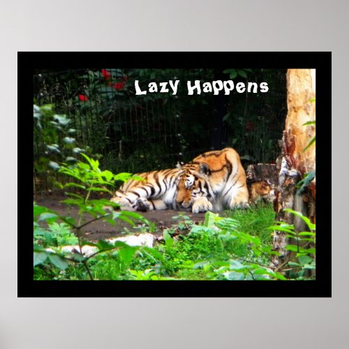 Lazy Happens Siberian Tiger Poster