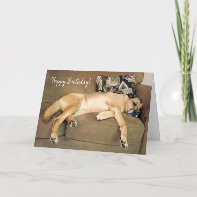Lazy Hound Dog Napping on Couch Card (Front)