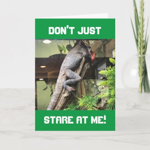 LAZY IGUANA GIVES ADVICE ON YOUR BIRTHDAY CARD