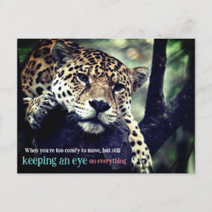 Lazy jaguar in tree photo holiday postcard