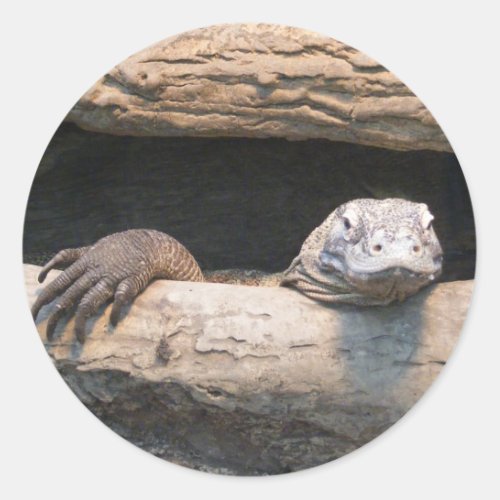 Lazy Komodo Dragon Sticker