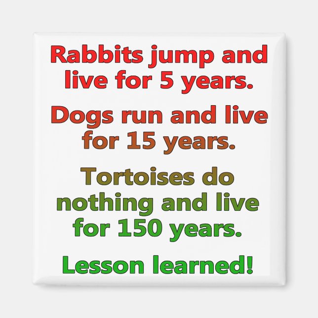 Lazy Lesson Learned Funny Fridge Magnet (Front)