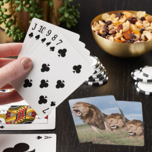 Lazy Lion Brothers on the Savannah Poker Cards