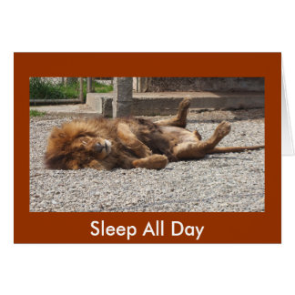 Lazy Lion Cards