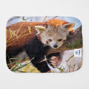 Lazy little red panda baby burp cloth
