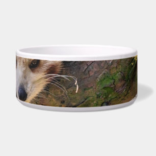 Lazy little red panda bowl