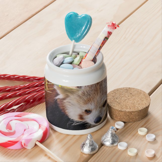Lazy little red panda candy jar (In Situ)