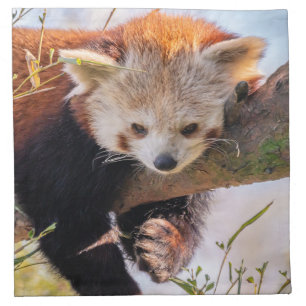 Lazy little red panda cloth napkin