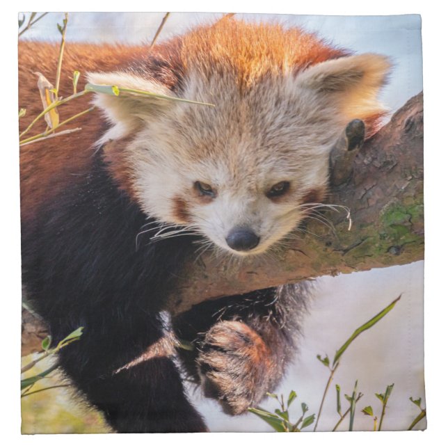 Lazy little red panda cloth napkin (Front)