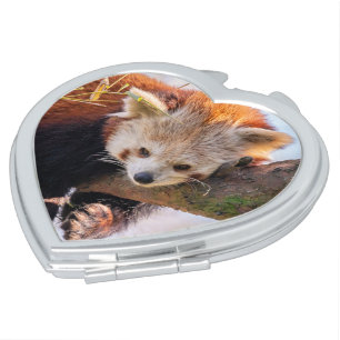 Lazy little red panda compact mirror