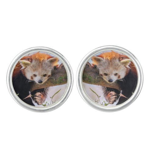 Lazy little red panda cufflinks