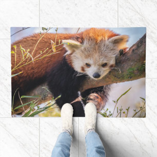 Lazy little red panda doormat