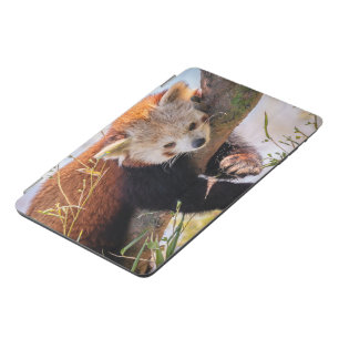 Lazy little red panda iPad mini cover