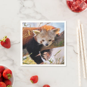 Lazy little red panda napkins