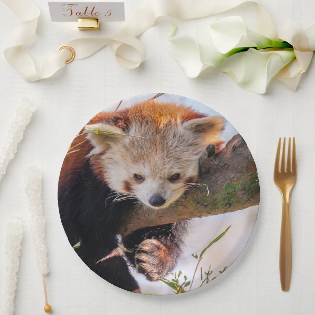 Lazy little red panda paper plates (Wedding)