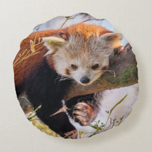 Lazy little red panda round pillow