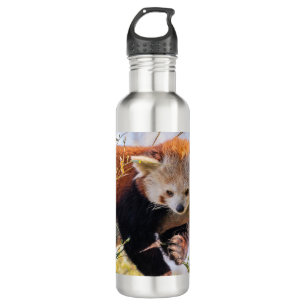 Lazy little red panda stainless steel water bottle