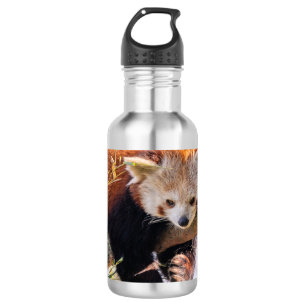 Lazy little red panda stainless steel water bottle