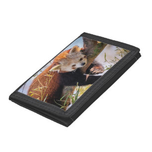 Lazy little red panda tri-fold wallet