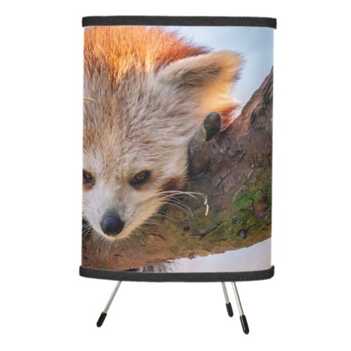 Lazy little red panda tripod lamp