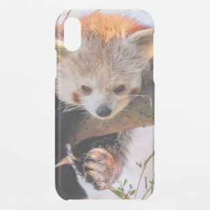 Lazy little red panda iPhone XR case