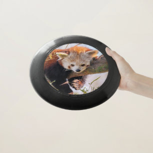 Lazy little red panda Wham-O frisbee
