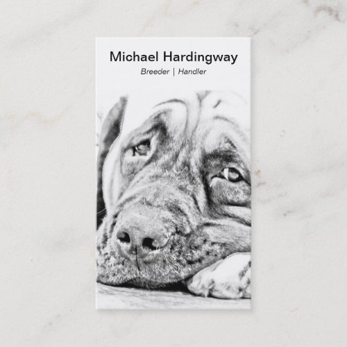 Lazy Mastiff Business Card
