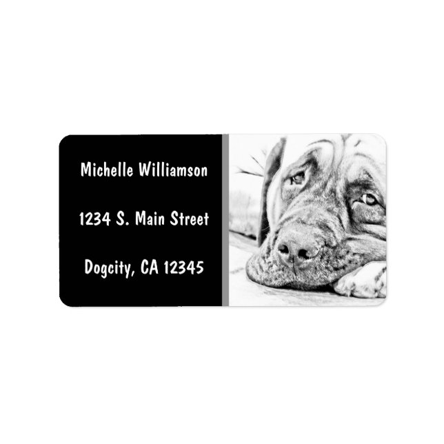 Lazy Mastiff Label (Front)