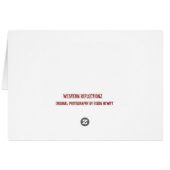 Lazy Morning (Back Horizontal)