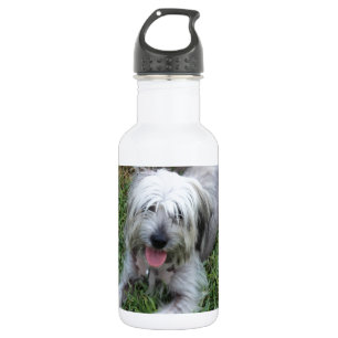 Lazy Mutt Water Bottle