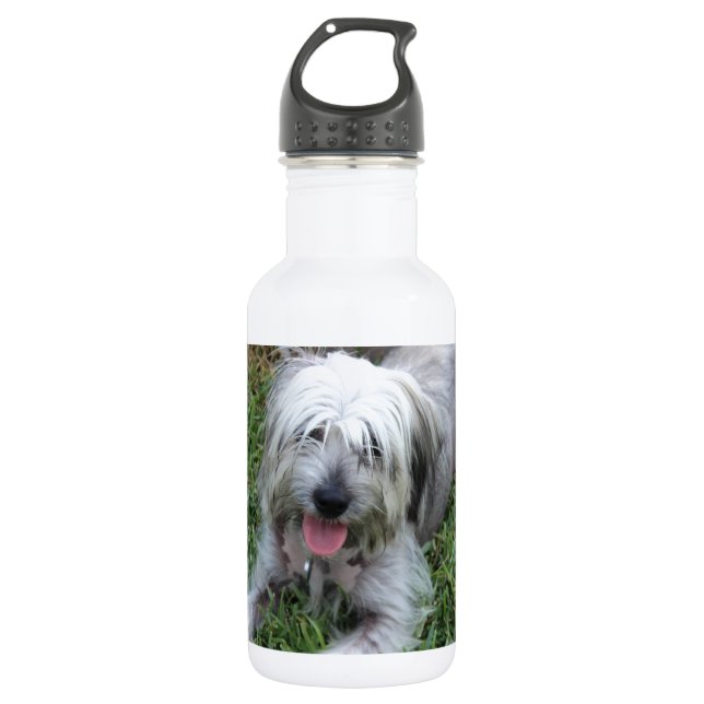 Lazy Mutt Water Bottle (Front)