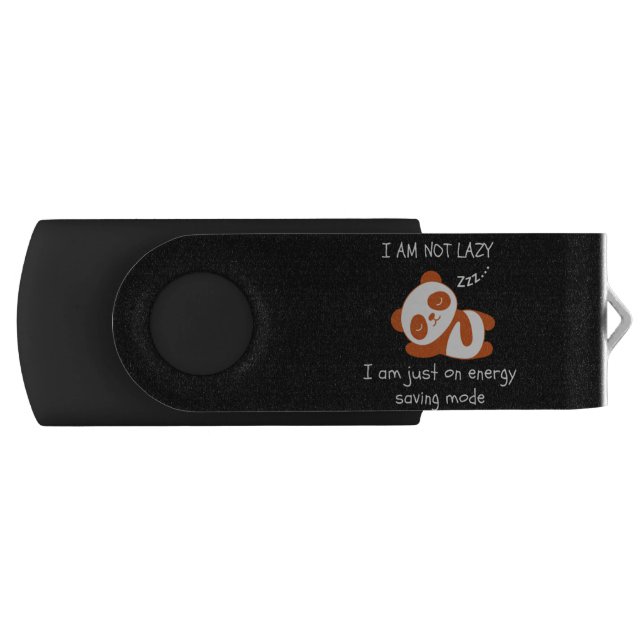 Lazy Panda Funny Flash Drive (Front)