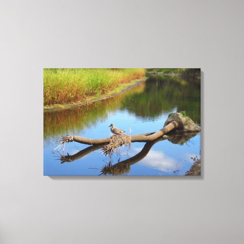 Lazy River Canvas Print