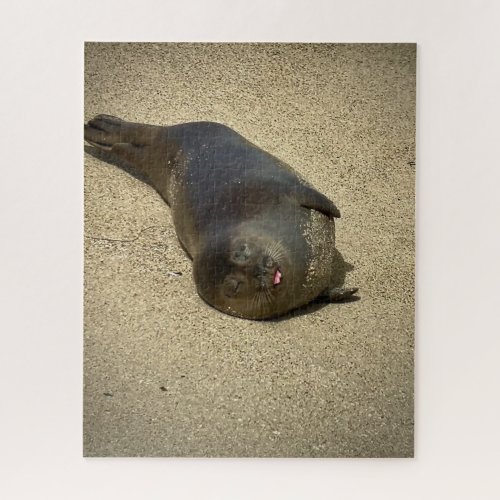 Lazy Seal Jigsaw Puzzle