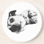 Lazy Sips Only Coaster