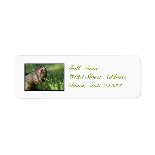 Lazy Sloth Mailing Labels