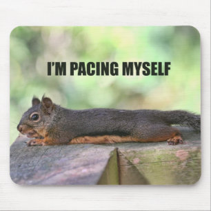 Lazy Squirrel Photo Mouse Pad