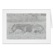 Lazy Summer Days (Front Horizontal)