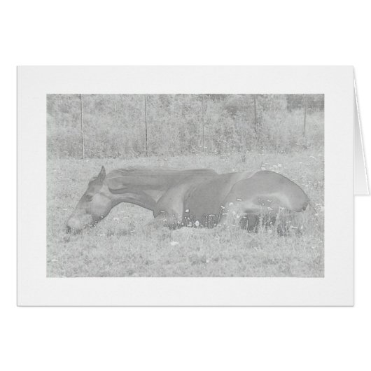 Lazy Summer Days Cards (Front Horizontal)