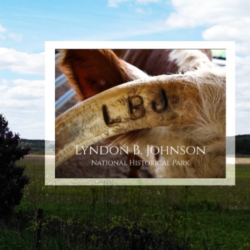 LBJ Horn Brand Lyndon B Johnson NHP Postcard