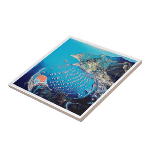 ldp SANTA CATALINA Island - California - harbor Ceramic Tile