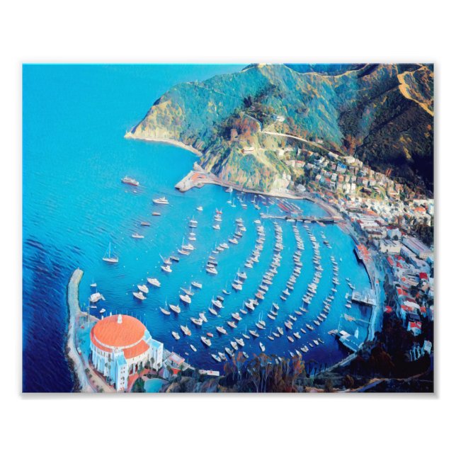 ldp SANTA CATALINA Island - California - harbor Photo Print (Front)