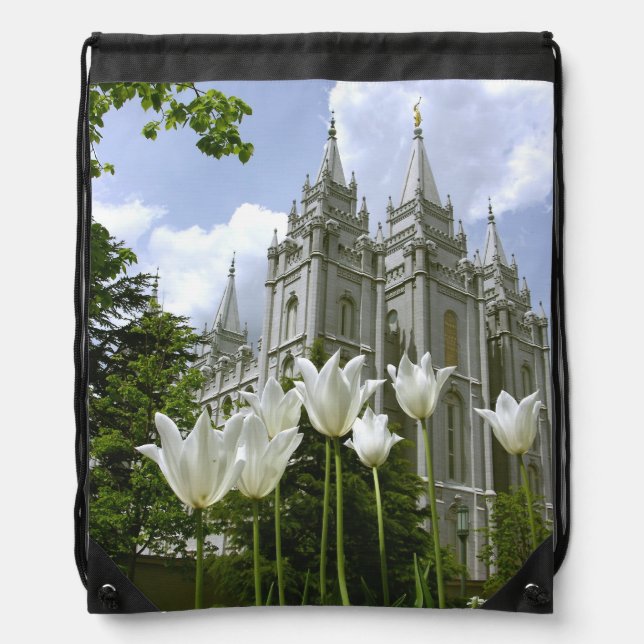 LDS SLC Utah Temple Bag (Front)