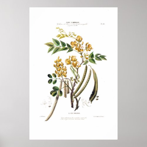 Le Cafe Nouveau Yellow Floral Botanical Amerique Poster