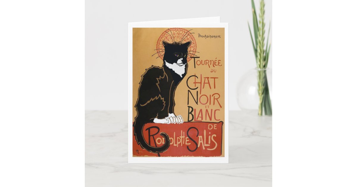 Le Chat Noir Et Blanc Card Zazzlecom