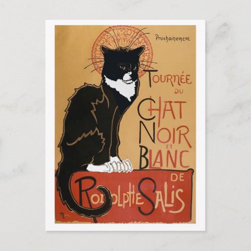 Le Chat Noir et Blanc Postcard