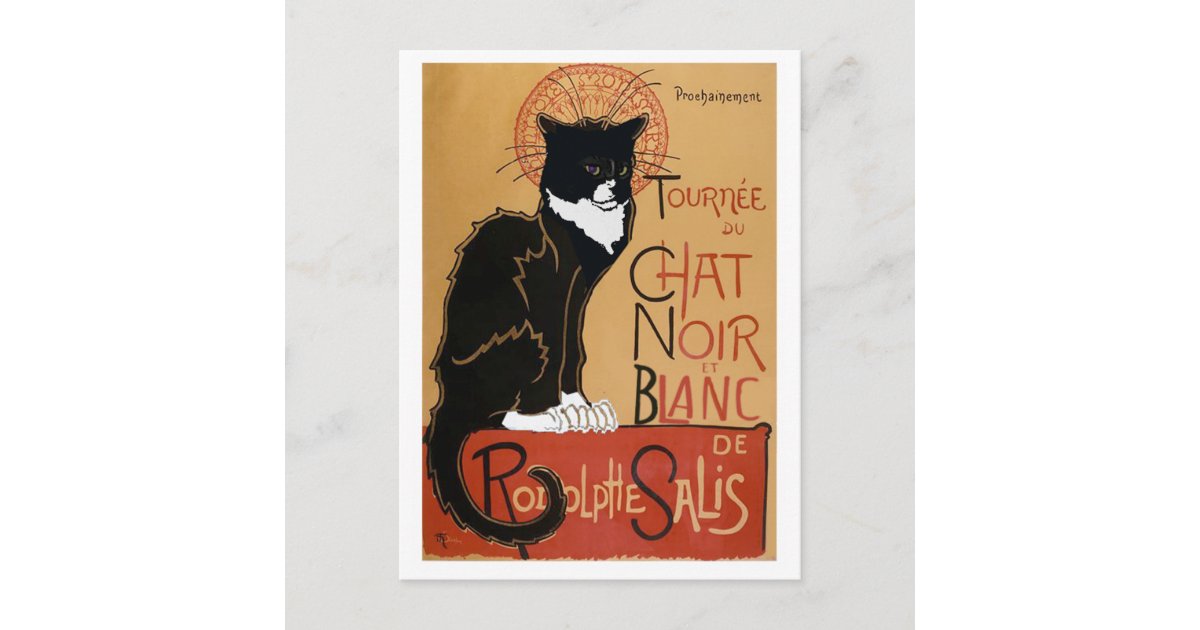 Le Chat Noir Et Blanc Postcard Zazzle Com Le Chat Noir Et Blanc Postcard Zazzle Com