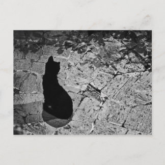 Le Chat Noir Postcard