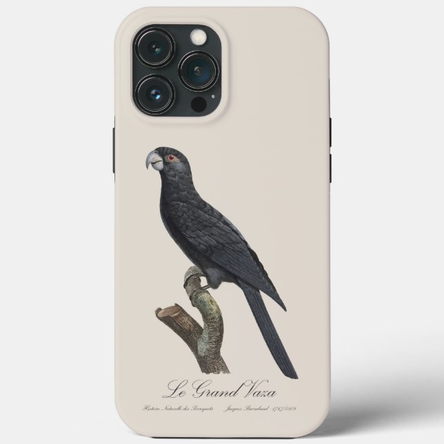 Le Grand Vaza / Greater Vasa Parrot Case-Mate iPhone Case (Back)