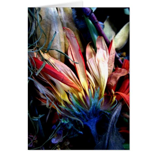 le passage des fleurs cards (Front)